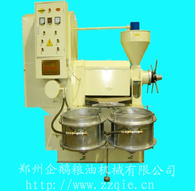 鄭州企鵝，三十年風雨路(圖1)