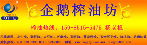 企鵝榨油坊遍布國(guó)內(nèi)外(圖1)