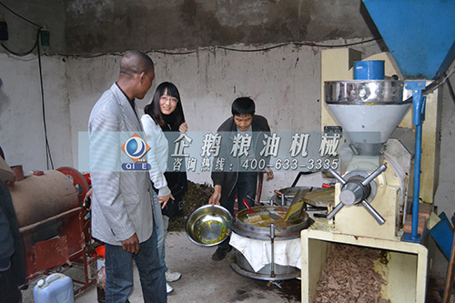 核桃榨油設(shè)備