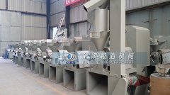 榨油機(jī)可以制取出幾種不同類(lèi)型橄欖油呢